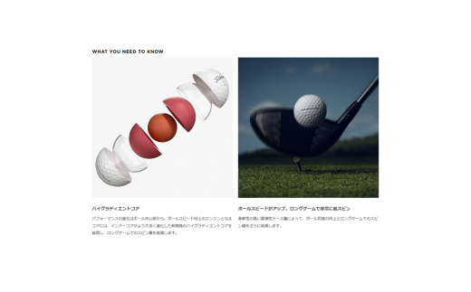 タイトリスト PROV1 ホワイト ゴルフボール 2ダース 24球 ローナンバー