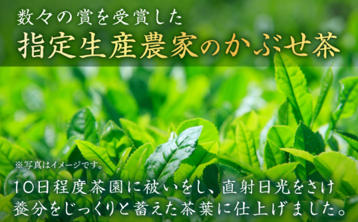 BAL009 【そのぎ茶】極上・特上+粉末緑茶・ボトルセット【池田茶園】-4