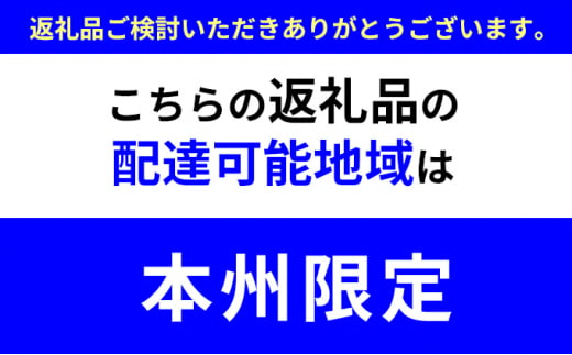 国産合成革張りソファ「NEWニコラス」幅130 ブラック×脚：ナチュラル