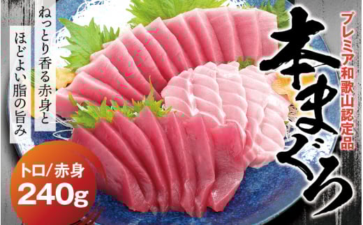 本マグロ(養殖)トロ&赤身セット 240g[1か月以内に発送]高級 クロマグロ 中トロ 中とろ まぐろ マグロ 鮪 刺身 赤身 柵 じゃばらまぐろ 本マグロ 本鮪[nks113B]