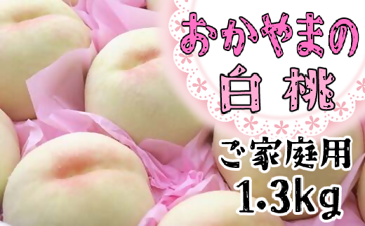 おかやまの白桃 1.3kg（ご家庭用）【数量限定４０００セット】 832819 - 岡山県岡山県庁