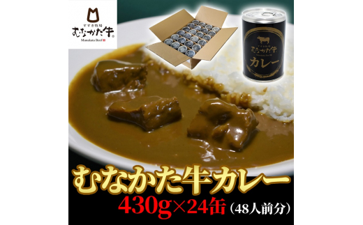 むなかた牛ハヤシライスソース 24缶(48人前分)【すすき牧場】_HA1268