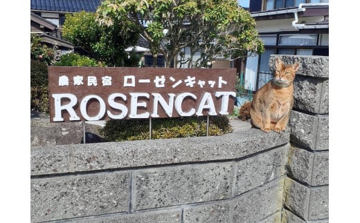 バラと猫に癒やされるローゼンキャット宿泊プラン（2名様） 830501 - 新潟県佐渡市
