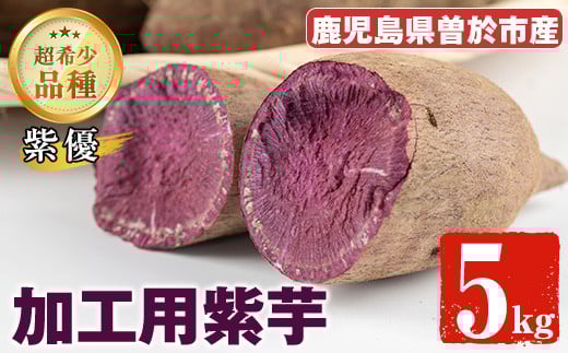 [数量限定]紫芋 加工用さつまいも紫優(5kg) 芋 さつまいも 紫芋[瀬崎農園]A418-v01