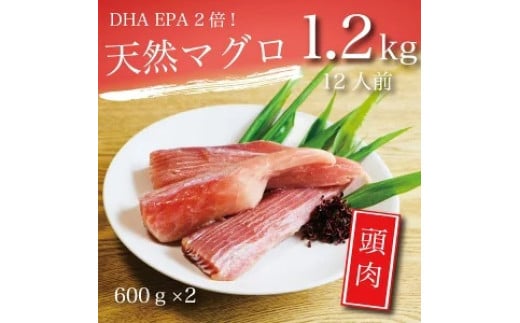 a10-098　焼津 天然 鮪 頭肉 セット 1.2Kg