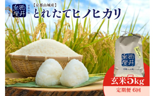 【定期便 6回】 ＜京都山城産＞とれたてヒノヒカリ(玄米　５kg)【058-09】 818909 - 京都府木津川市