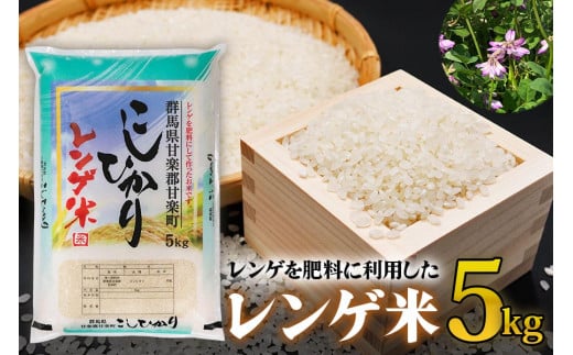 [令和6年10月より順次発送予定] レンゲ米5kg×1袋｜令和6年度米コシヒカリ 精米 白米 お米 ごはん 甘楽町産 先行予約 [0141]