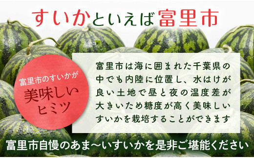 先行予約※産地直送！甘くてみずみずしい富里スイカ２玉（Ｌサイズ