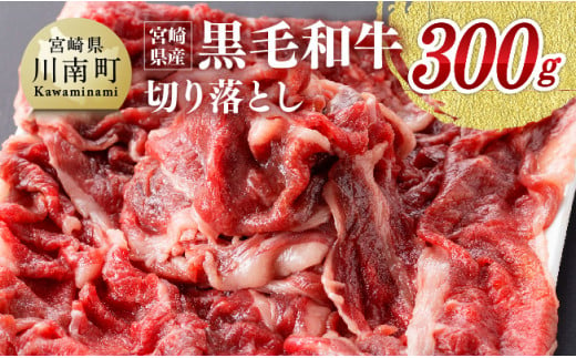宮崎県産黒毛和牛 切り落とし 300g 肉 牛 牛肉