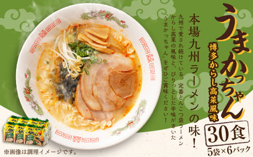 うまかっちゃん 博多からし高菜風味 30食 (5袋×6パック) とんこつ ラーメン インスタントラーメン 袋麺 797246 - 福岡県遠賀町