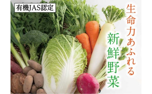1209 有機JAS認定 冬野菜とお米の詰め合わせセット 832795 - 鳥取県鳥取市