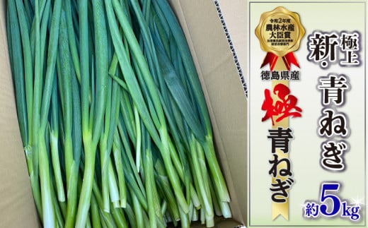 青ねぎ 5kg ネギ 葱 極上 薬味 国産 野菜 阿波市 うどん ギョーザ 餃子 チャーハン 焼きネギ 徳島 阿波市 1475359 - 徳島県阿波市