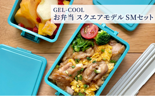№5321-0229]GEL-COOL お弁当 スクエアモデル SMセット - 北海道室蘭市
