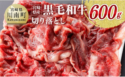 宮崎県産黒毛和牛 切り落とし 600g 肉 牛 牛肉