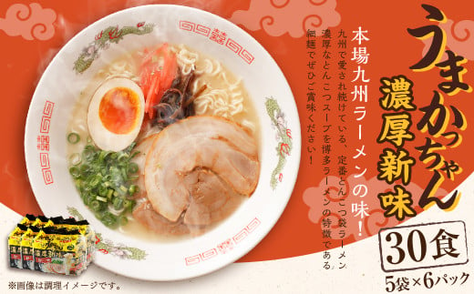 うまかっちゃん 濃厚新味 30食(5袋×6パック)