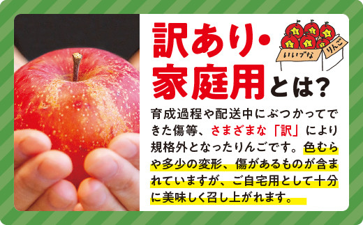 りんご サンつがる 訳あり 10kg 令和5年度収穫分 沖縄県への配送不可