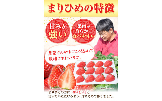 和歌山県産 毬姫様 いちご（まりひめ）450g 1パック よしむら苺ファーム 《12月上旬-3月中旬頃出荷》 和歌山県 岩出市 いちご 苺 イチゴ  まりひめ