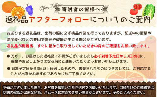 [訳あり規格]和歌山有田みかん10kg（S～Lサイズおまかせ）※2024年11月中旬～1月中旬頃順次発送（お届け日指定不可）