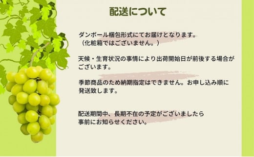 シャインマスカット 約1.4kg 旬な果実 採れたて ぶどう - 香川県観音寺
