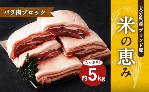 大分県産ブランド豚「米の恵み」バラ肉ブロック 5.0kg (2.5kg×2) 豚バラ 豚肉 600876 - 大分県竹田市