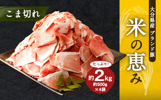 大分県産 ブランド豚「米の恵み」こま切れ 2kg (500g×4袋) 566966 - 大分県竹田市