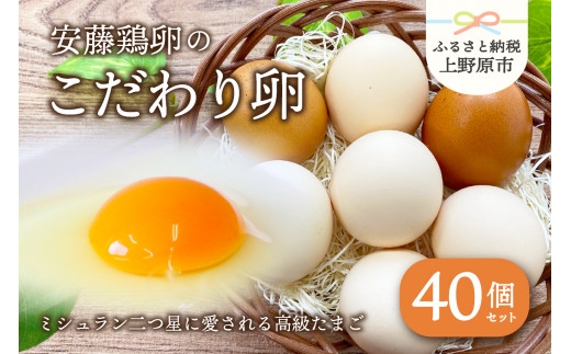 【山梨県産 卵】ミシュランも選ぶ高級卵セット（40個） 241529 - 山梨県上野原市