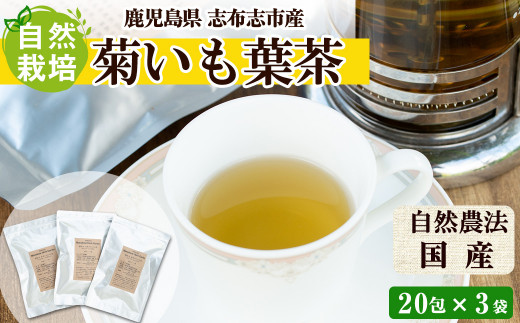 【自然栽培】 菊芋葉茶 60包（20包×3袋）  a3-065 425353 - 鹿児島県志布志市