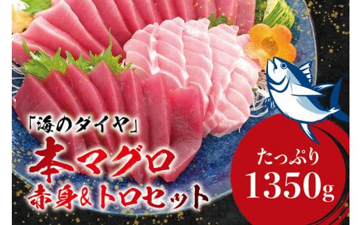 本マグロ（養殖）トロ＆赤身セット 1350g 【1ヶ月以内に発送】 高級 クロマグロ 中トロ 中とろ  まぐろ マグロ 鮪 刺身 赤身 柵 じゃばらまぐろ 本マグロ 本鮪【nks111】 1525495 - 和歌山県すさみ町