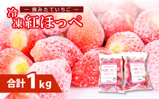 益田市産 冷凍いちご（紅ほっぺ）500g×2袋