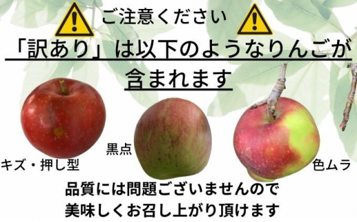 appleさん 1207 | ziwanipoultry.com
