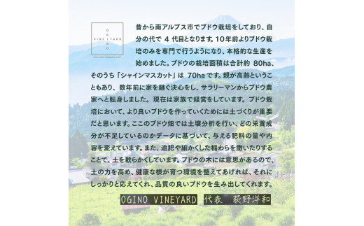 5-1-27【2023年7月上旬から8月中旬収穫 先行予約】果樹王国 山梨県産