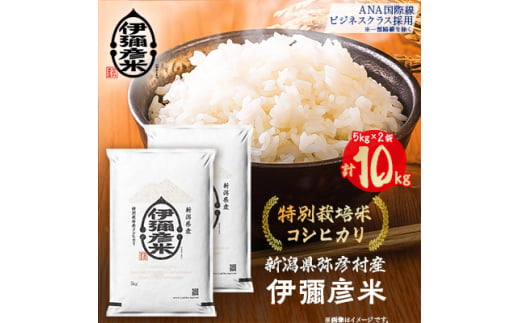 令和3年度産　新潟こしひかり　10kg(5kg×2袋)　特別栽培米