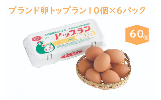 矢部養鶏場のたまご】こだわりのブランドたまご トップラン６０個