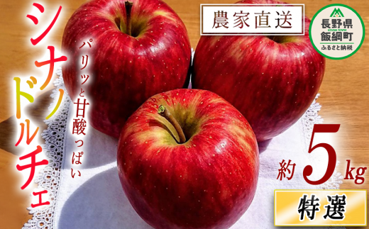 りんご シナノドルチェ 特選 5kg やまじゅうファーム 沖縄県への配送不可 2025年9月中旬頃から2025年10月上旬頃まで順次発送予定 令和7年度収穫分 信州の環境にやさしい農産物 減農薬栽培 長野県 飯綱町 [0514] 233074 - 長野県飯綱町