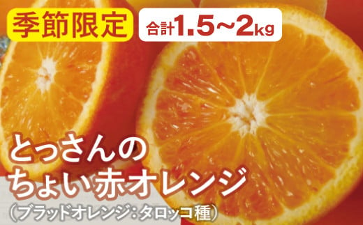とっさんのちょい赤オレンジ（ブラッドオレンジ：タロッコ種）（配達指定日不可）【ブラッドオレンジ 1箱 1.5kg～2kg ジュース スムージー 果物 フルーツ】 219669 - 島根県大田市