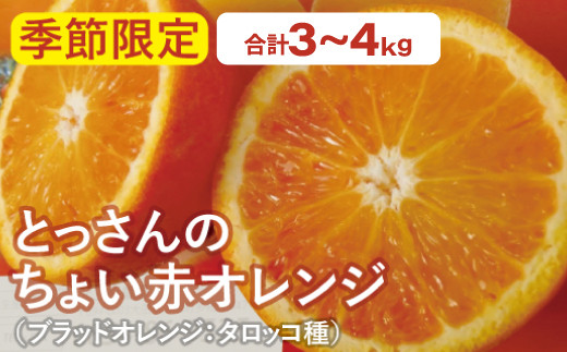 ブラッドオレンジ（タロッコ種）×2箱（合計3～4kg）