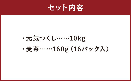 【柳川のお米】 元気つくし 10kg と 麦茶 16P セット