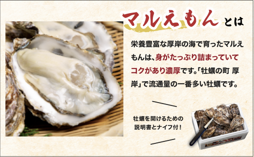 ふるさと納税 厚岸町 北海道厚岸産殻牡蠣【マルえもん 3Lサイズ 20個