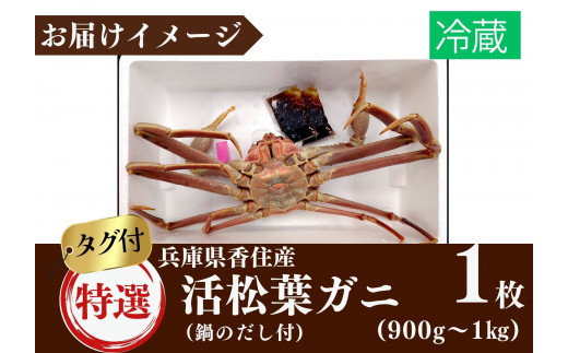 松葉ガニ 【特選 活 松葉ガニ 生 1匹（約900g～1kg）冷蔵でお届け