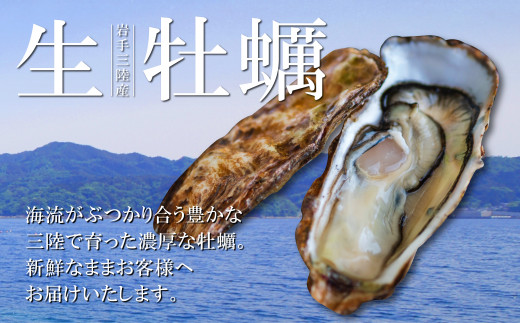 生食用】牡蠣むき身 300g×3本【期間限定1月～6月発送】 - 岩手県大槌町