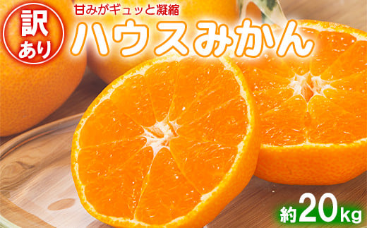 【訳あり・優品】今村農園のハウスみかん 約20kg みかん 柑橘 20kg わけあり 先行予約 7月 8月 フルーツ ＜107-005_5＞