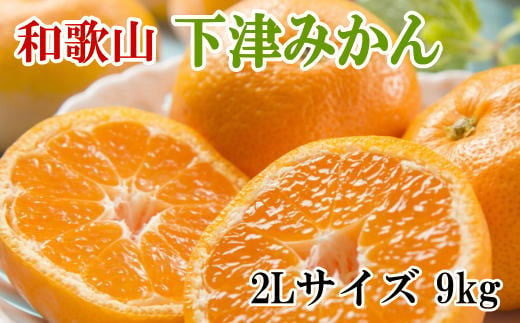 【産直・秀品】和歌山下津みかん　9kg(2Lサイズ) ※2024年11月中旬～2025年1月中旬頃に順次発送【tec869】 763192 - 和歌山県串本町