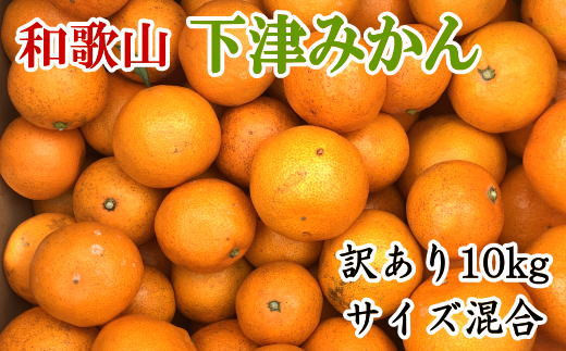 【産直】和歌山下津みかん　10kg（訳ありサイズ混合）※2024年11月中旬～2025年1月中旬頃に順次発送 765594 - 和歌山県古座川町