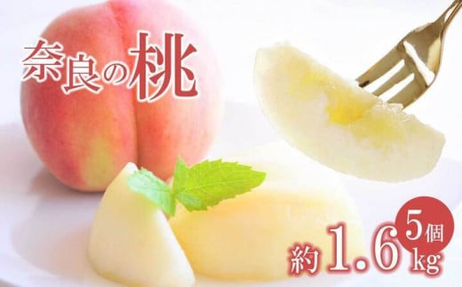 奈良の桃（約1.6kg） | フルーツ 果物 くだもの 桃 もも ピーチ 奈良県 五條市 773115 - 奈良県五條市