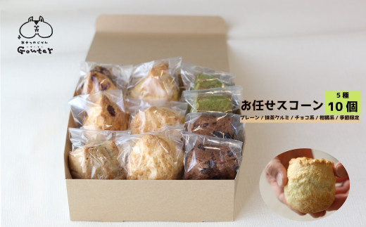 幸せのモーニングスコーン scone 5種10個 内容お任せ プレーン チョコ 抹茶くるみ 柑橘系 季節限定フレーバー各2個 ギフト 個包装 冷凍発送