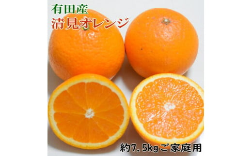 ZD6386n_【産直】有田産清見オレンジ 約7.5kg（訳あり家庭用サイズおまかせまたは混合）