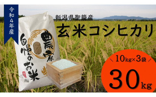 令和4年産】新潟県聖籠産玄米コシヒカリ 30kg - 新潟県聖籠町