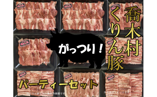 5-Y08 南信州くりん豚 がっつりパーティーセット - 長野県喬木村