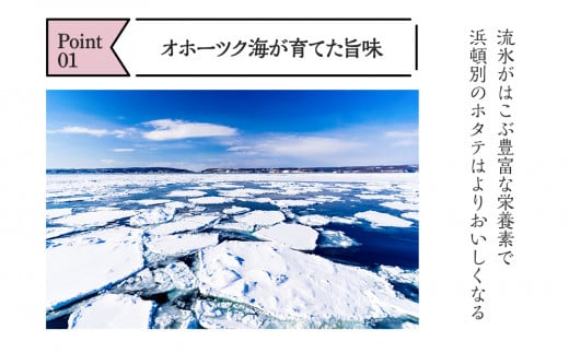 北海道浜頓別町のふるさと納税 ほたて 貝柱 冷凍(15粒前後)200ｇ×3パック 小分け お取り寄せ 刺身 《横田水産》