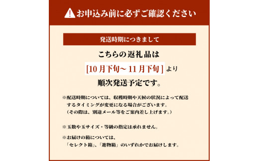 2023年先行予約】DS-08 王秋梨（おうしゅうなし）（５ｋｇ） - 鳥取県